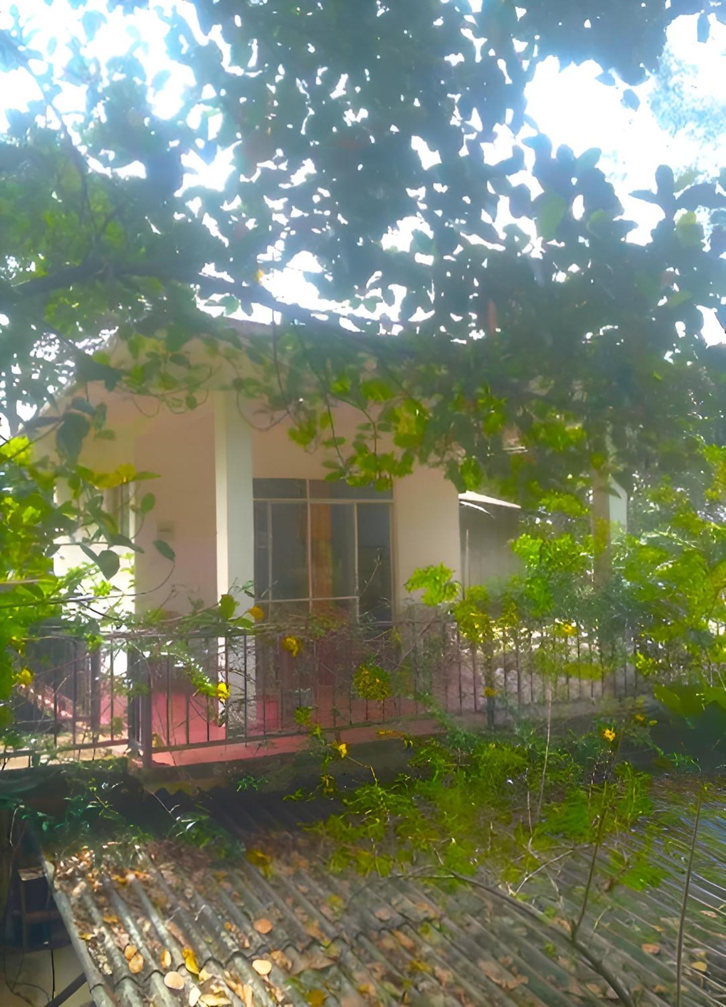 Senehas Homestay Ella Extérieur photo