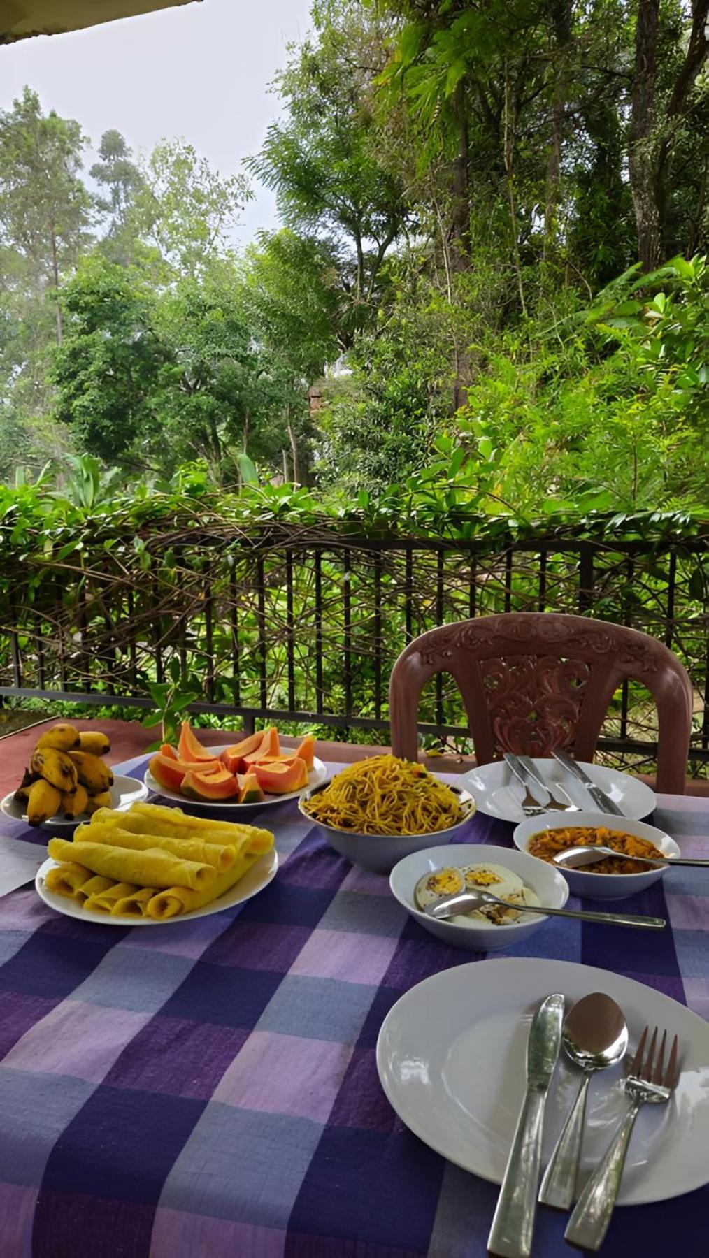 Senehas Homestay Ella Extérieur photo